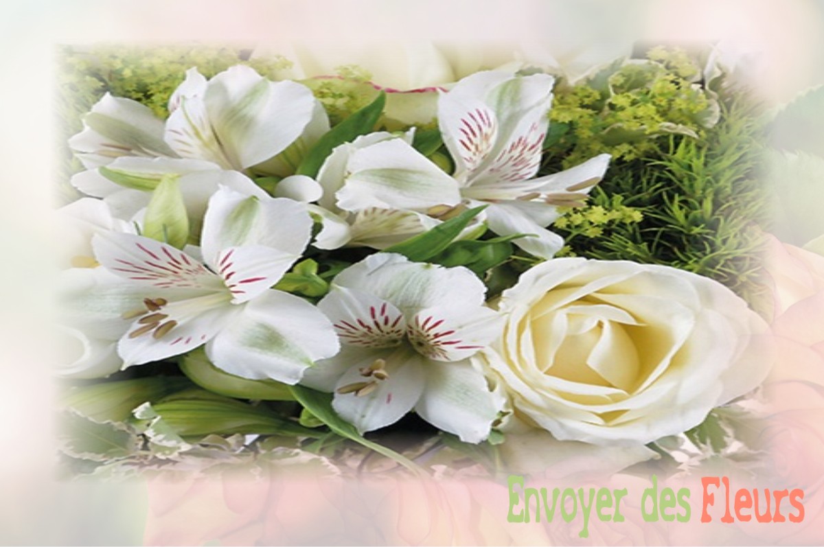 envoyer des fleurs à à SAINT-JEAN-DELNOUS